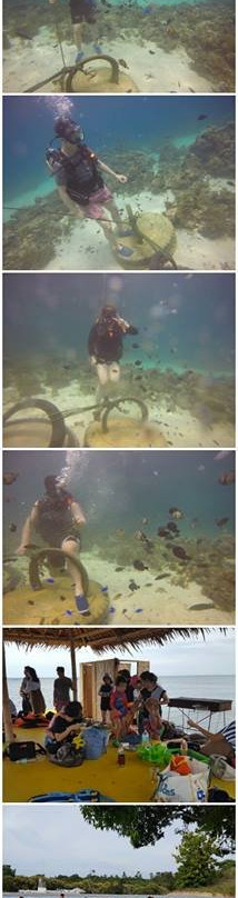 LOHAS Airport Hotel主图