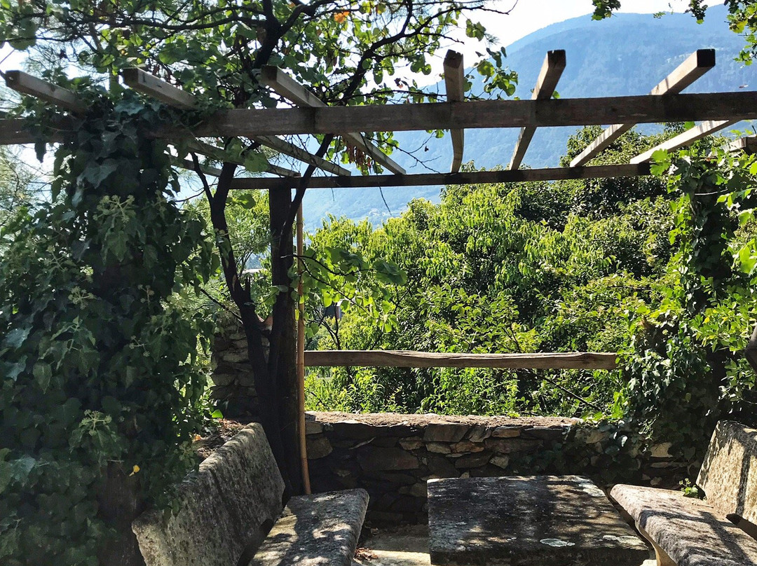 Hotel Villa Tivoli主图