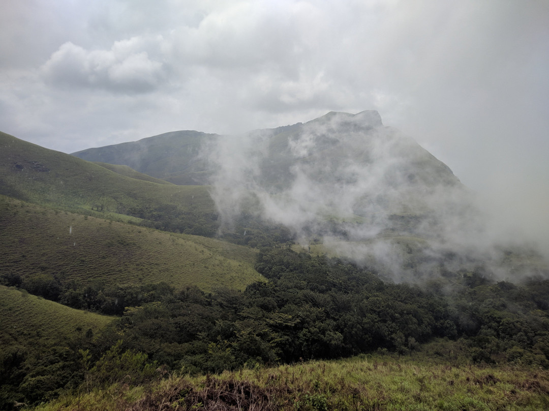 Kudremukh National Park景点图片