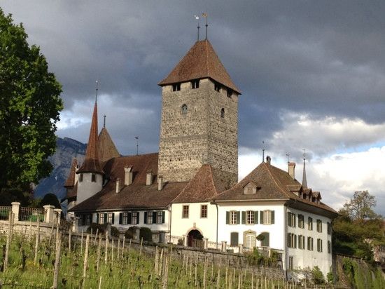 Schloss Spiez景点图片