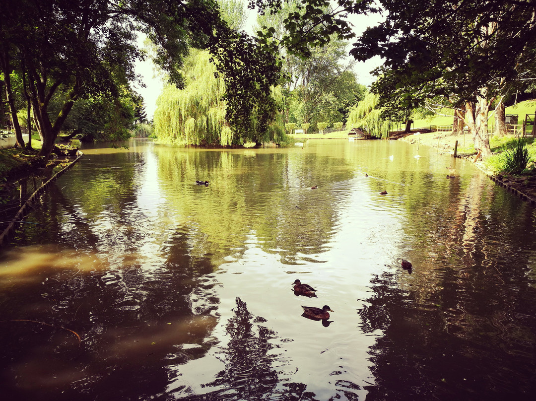 Prinknash Bird And Deer Park-Cranham必去景点