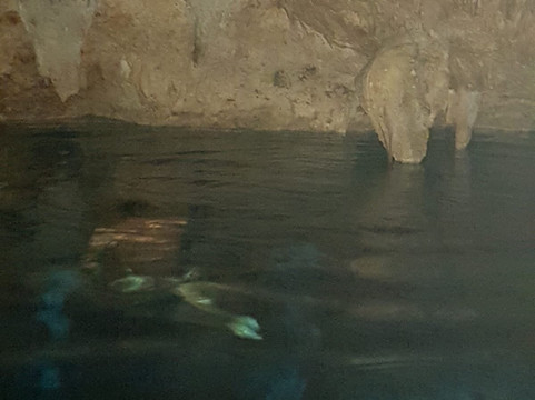 Cueva de Chicho-Parque Nacional del Este必去景点