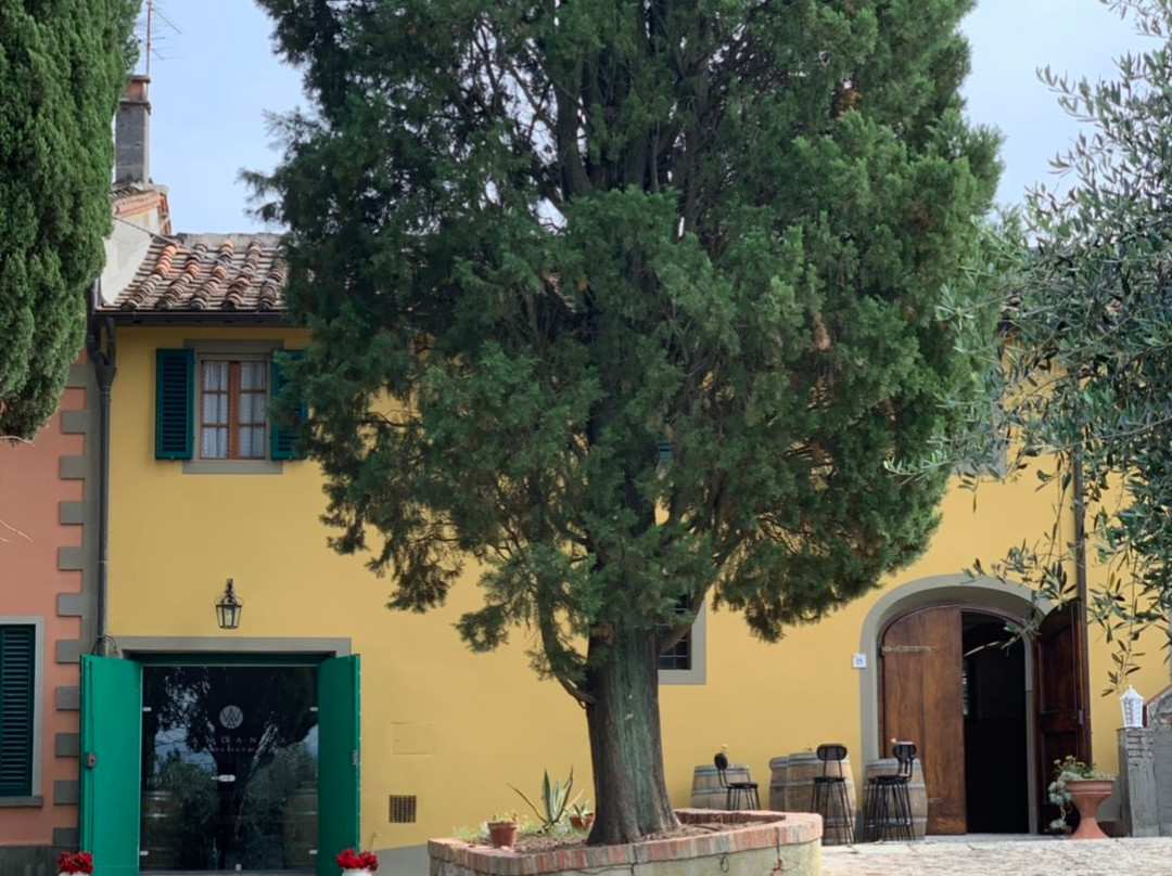 Azienda Agricola Wandanna-Montecarlo必去景点