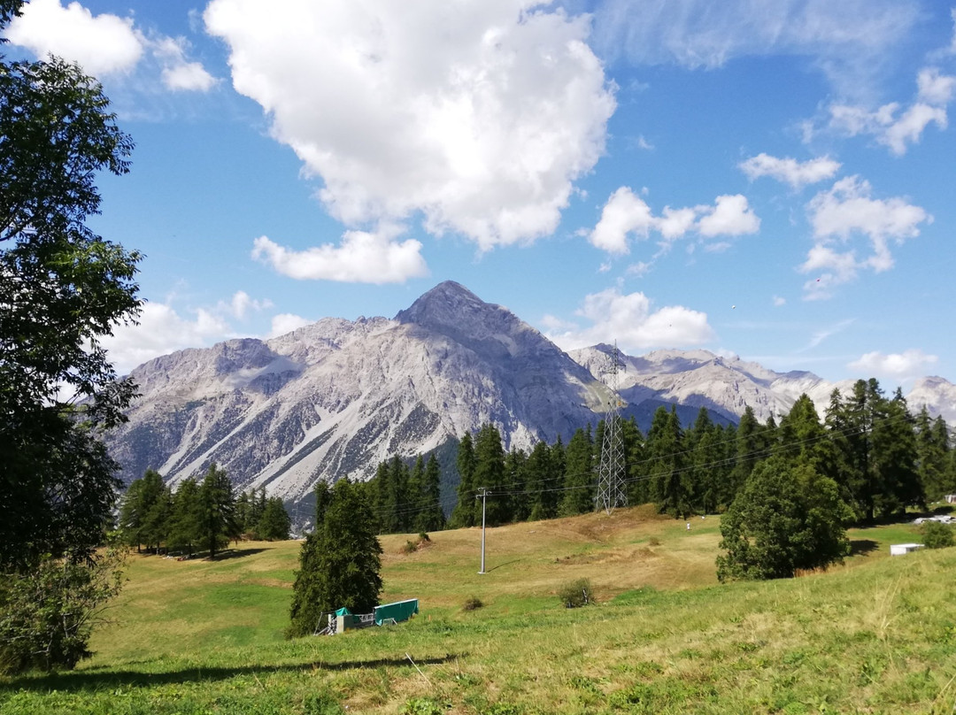 Agriturismo Il Fiocco主图