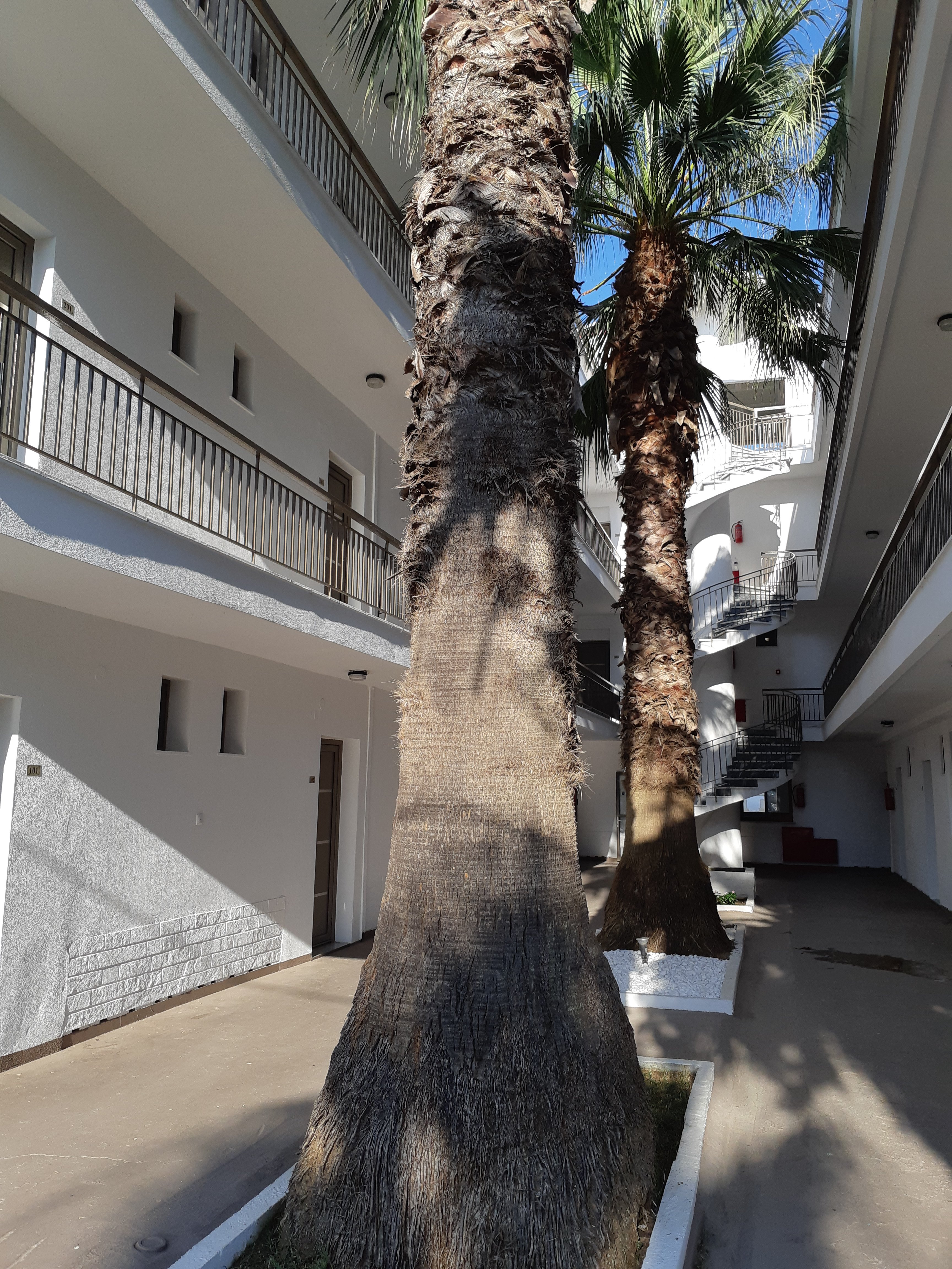 Stavros Beach Hotel-浴室