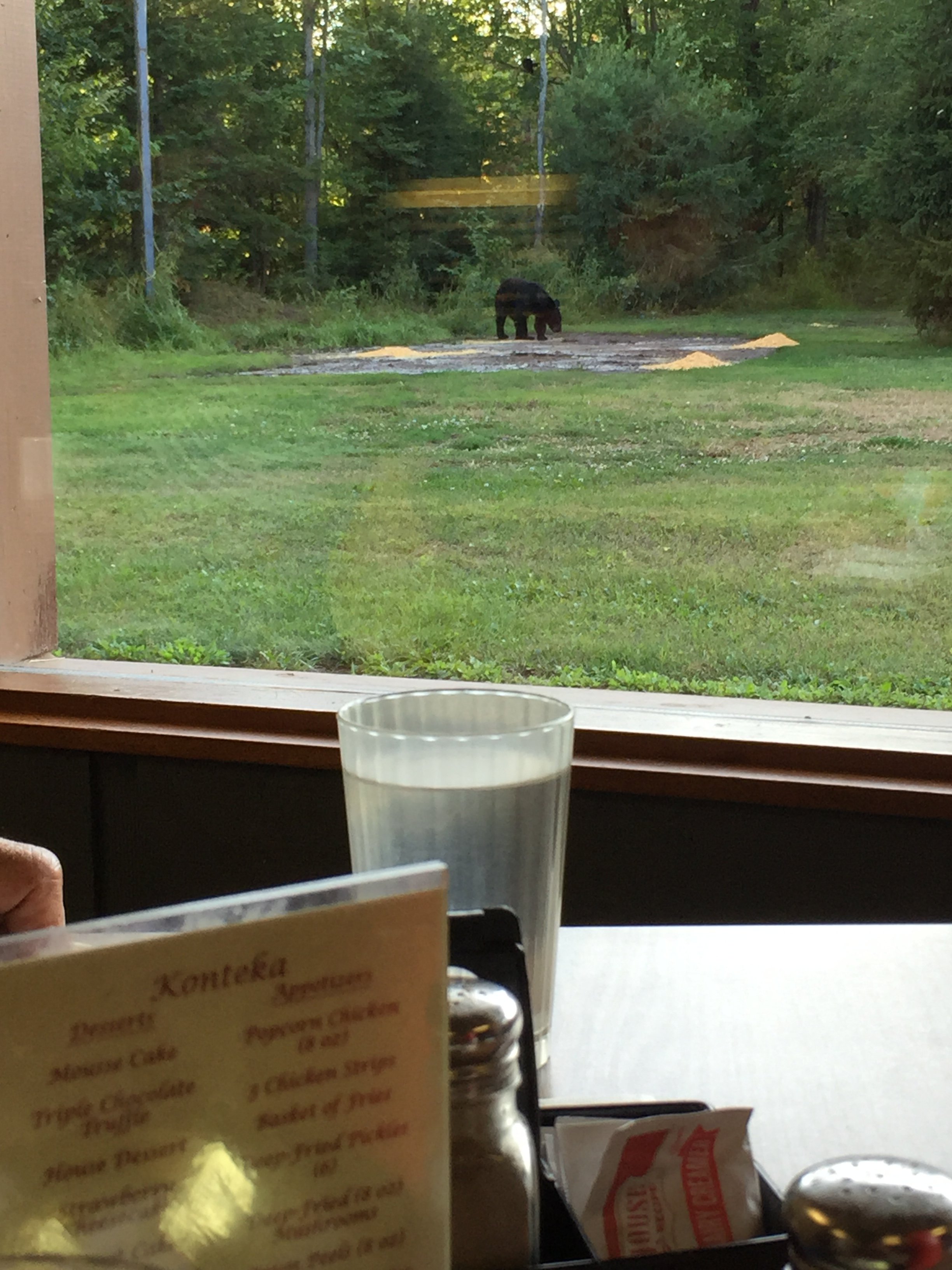 Konteka Black Bear Motel-餐饮