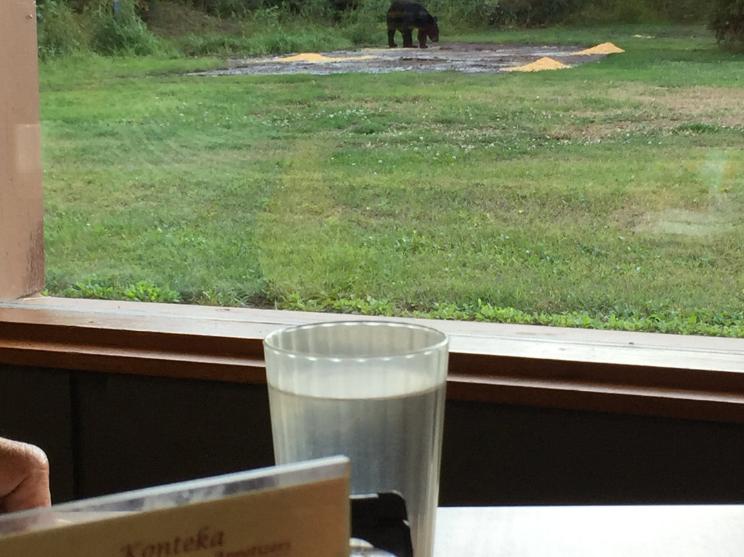 Konteka Black Bear Motel主图