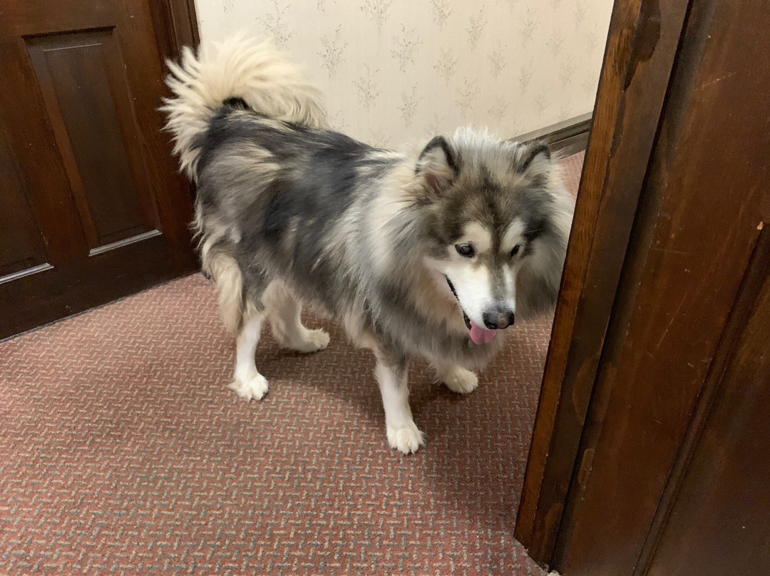 Old Field House主图