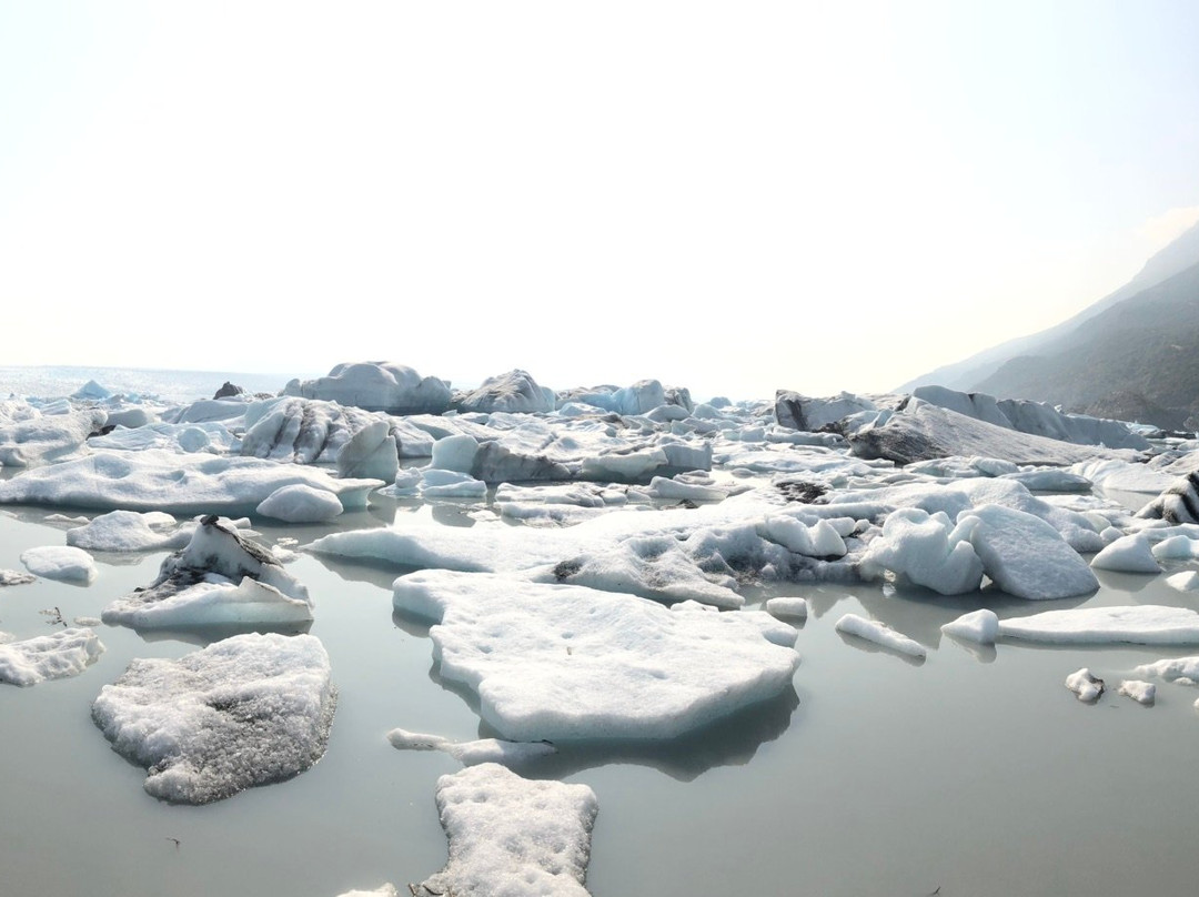 Knik Glacier Tours景点图片