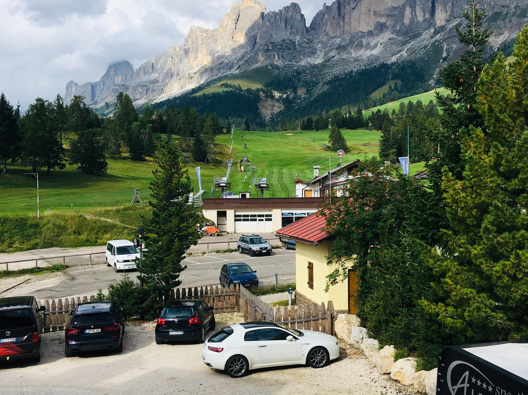 Hotel Alpenrose主图