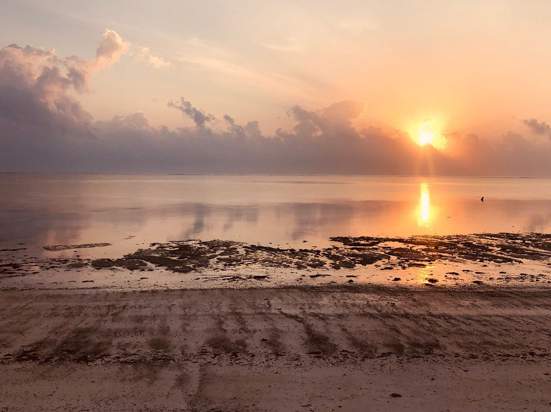 Deep Zanzibar Diving Center-基万嘎必去景点