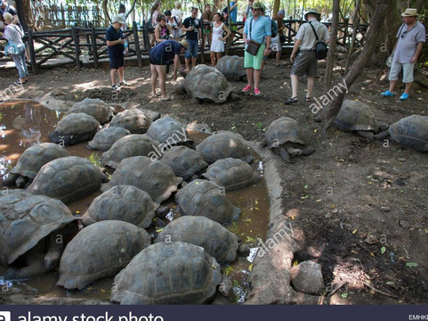 BHUTEN TOURS AND TRAVEL