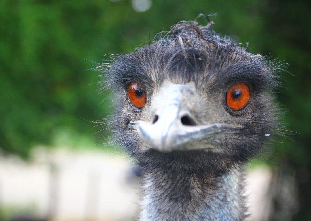 Erlebnisgastronomie Lochmuhle主图