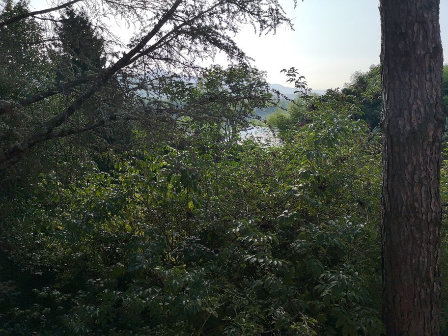 B&B I Cavalieri Del Lago主图
