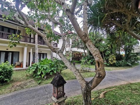 佩尔缇威度假村主图