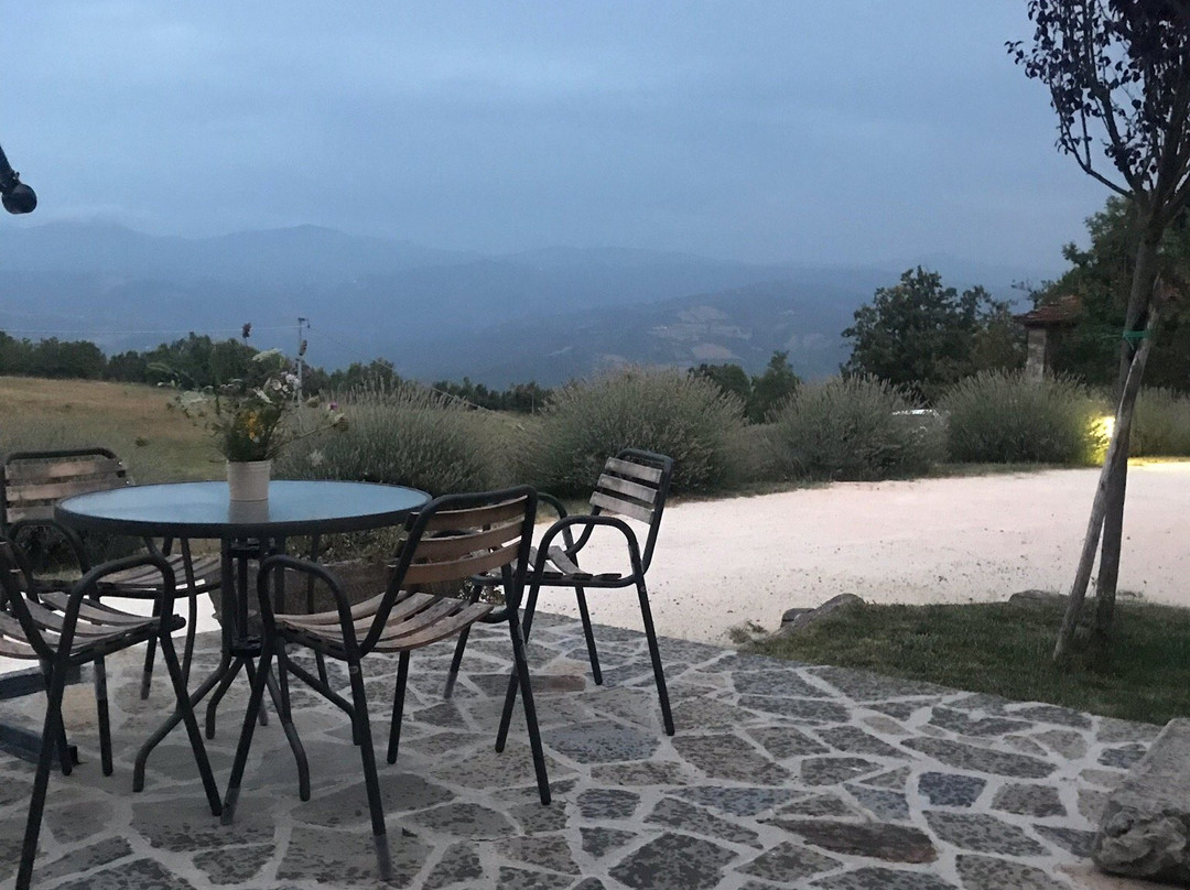 Agriturismo Tenuta Ca Di Bertucci主图