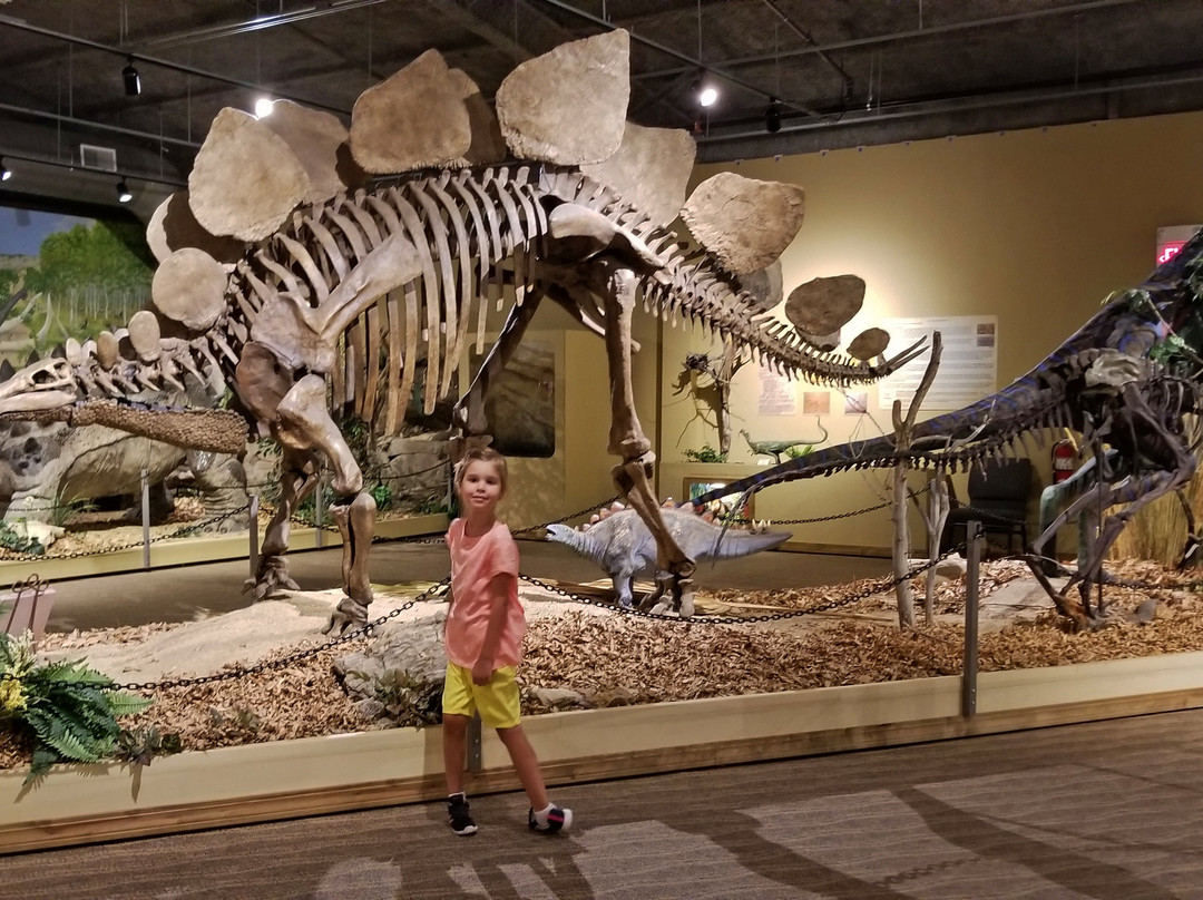 Glendive Dinosaur & Fossil Museum景点图片