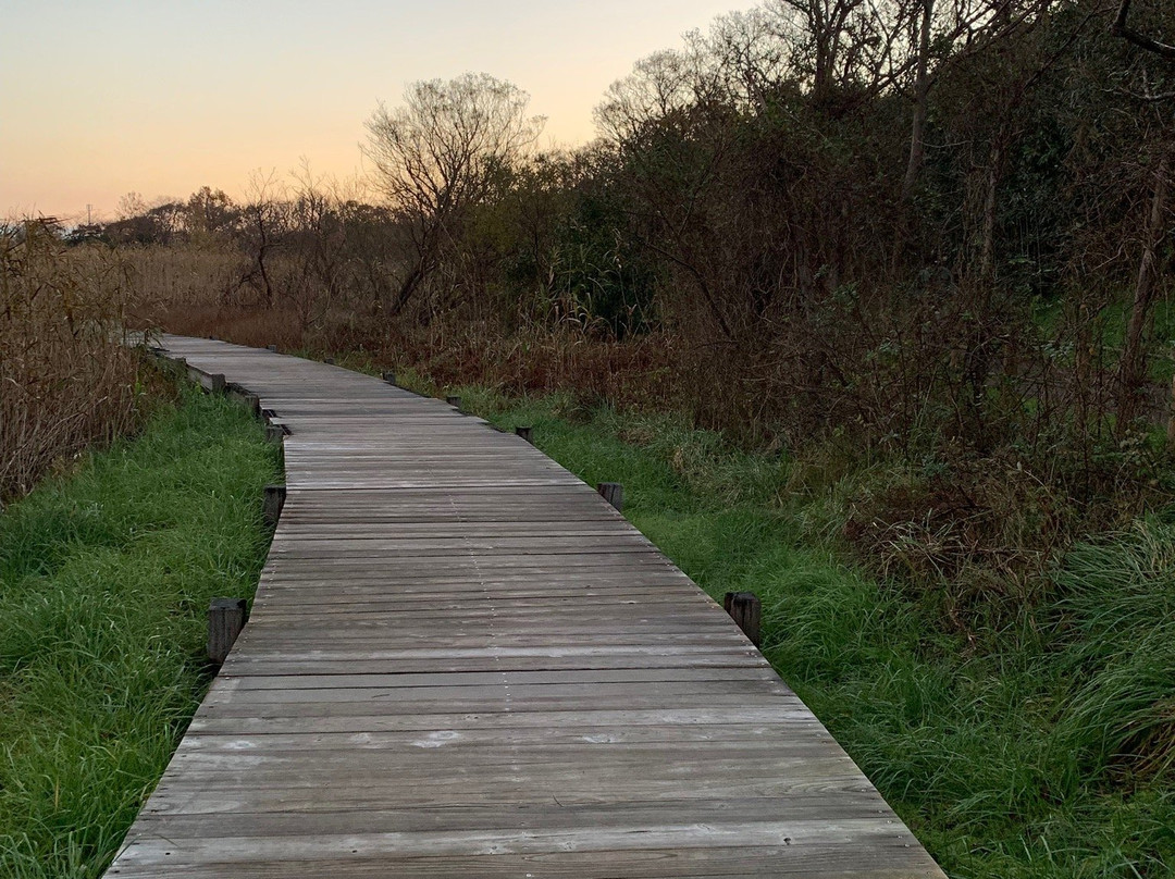 Sakata Park-新泻市必去景点