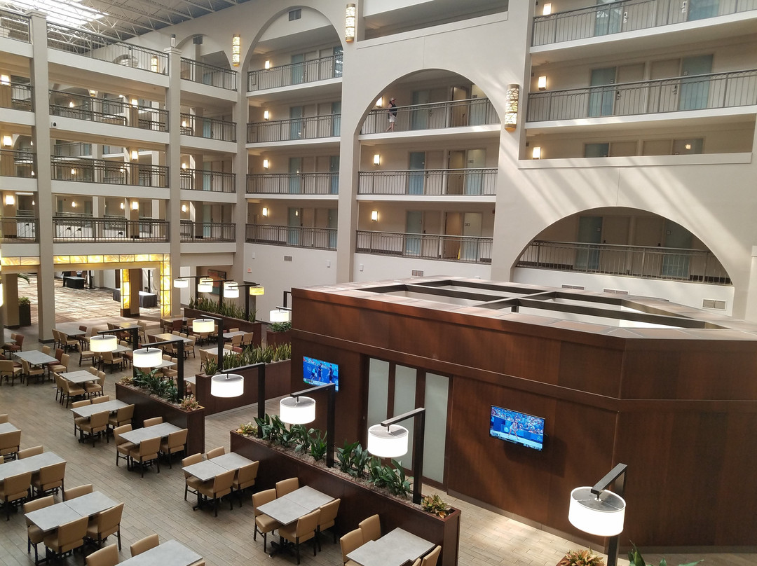 辛辛那提东北（布鲁阿什）希尔顿合博套房酒店主图