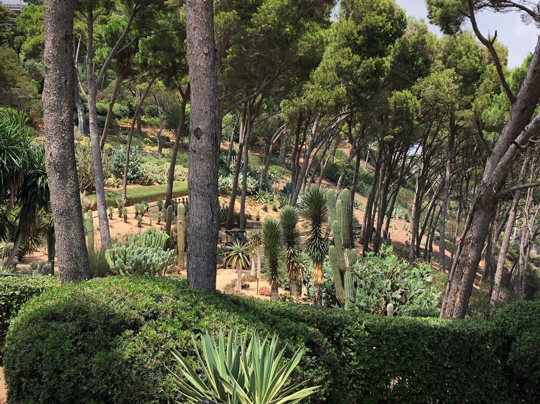 Jardi Botanic de Cap Roig景点图片