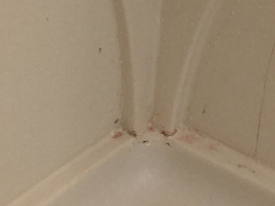 苏斯瀑布希尔顿花园酒店主图