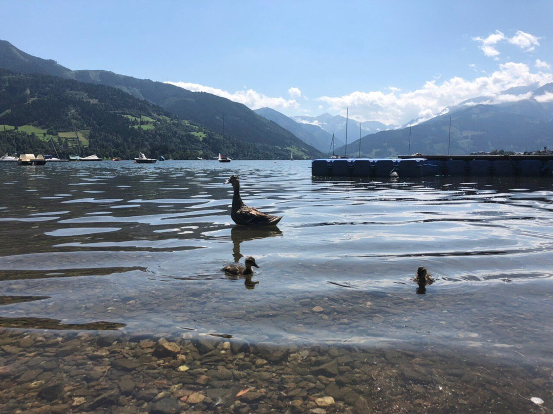 Strandbad Zell am See-采尔湖畔必去景点