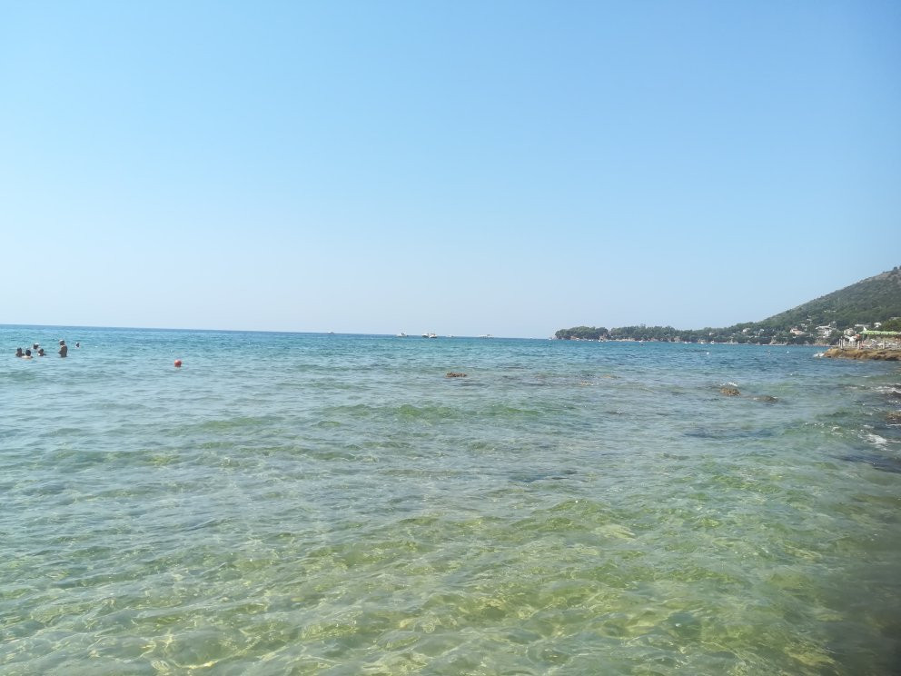 Arena Vacanze主图