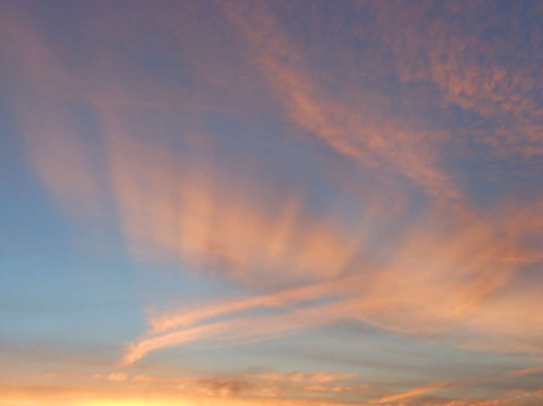 WoodSpring Suites Columbus NE I-270主图