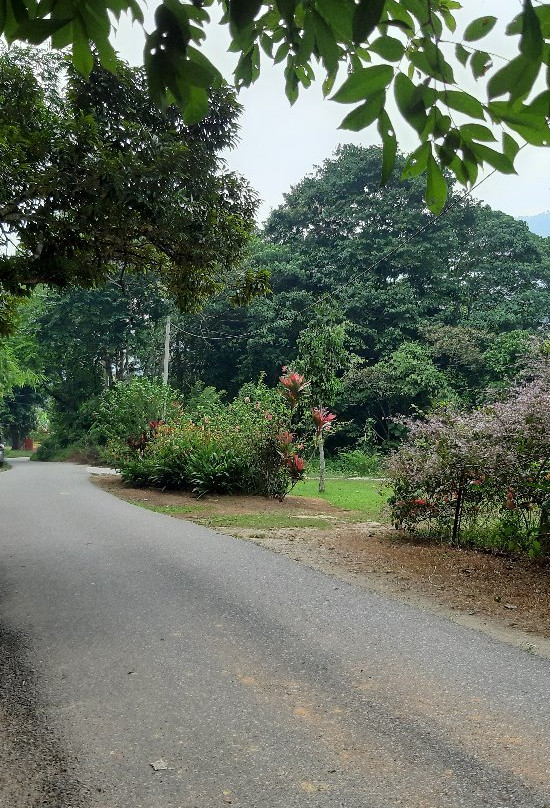 Pulau Santap-武吉丁宜高原必去景点