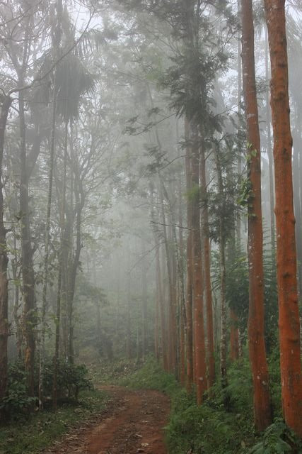 Stream Garden Mountain Resort主图