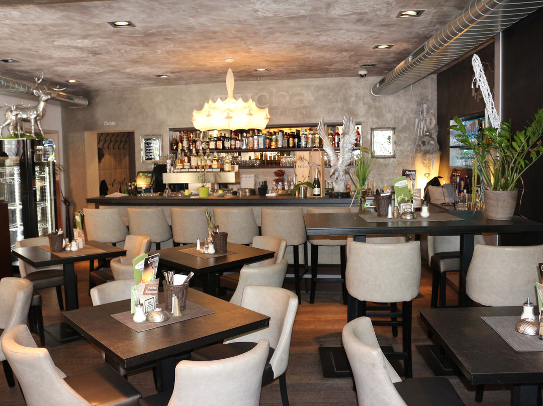 Restaurant Tucha