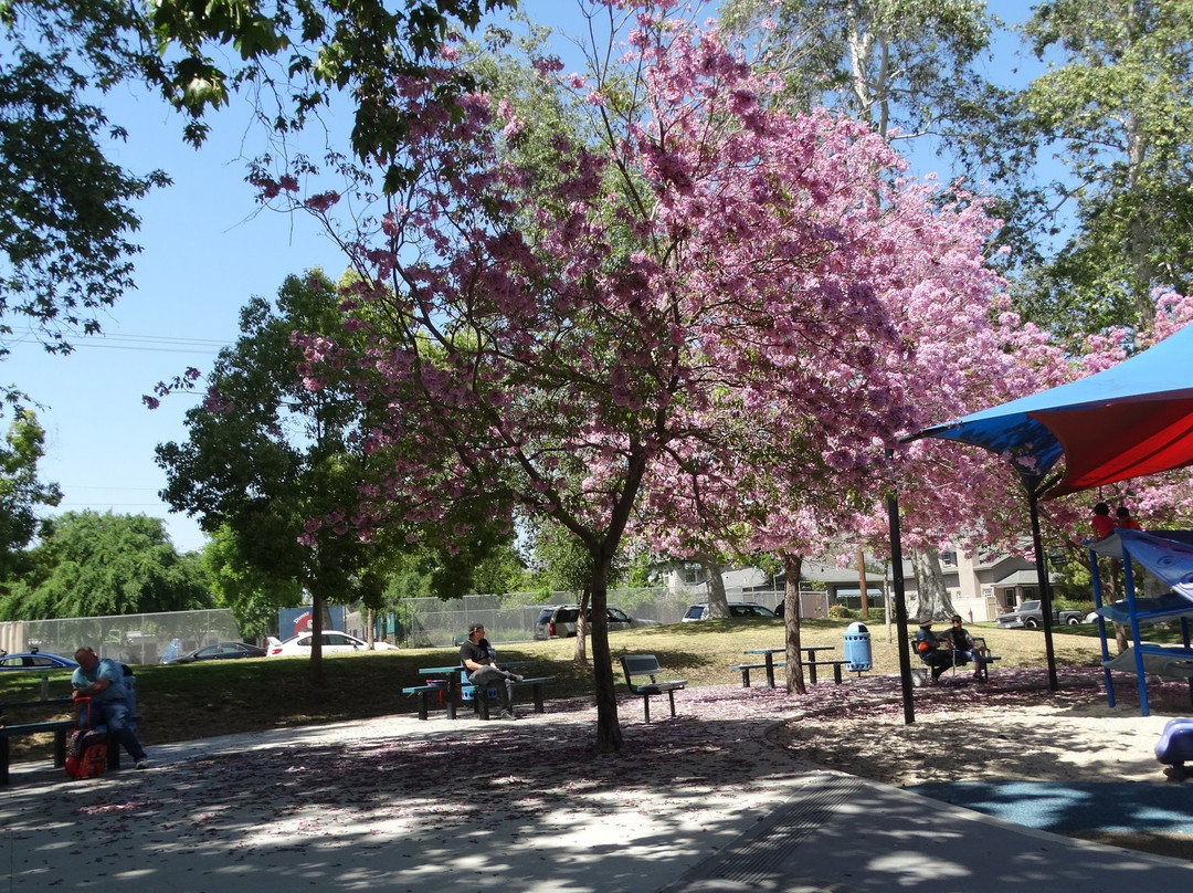 Olive Recreation Center-伯班克必去景点