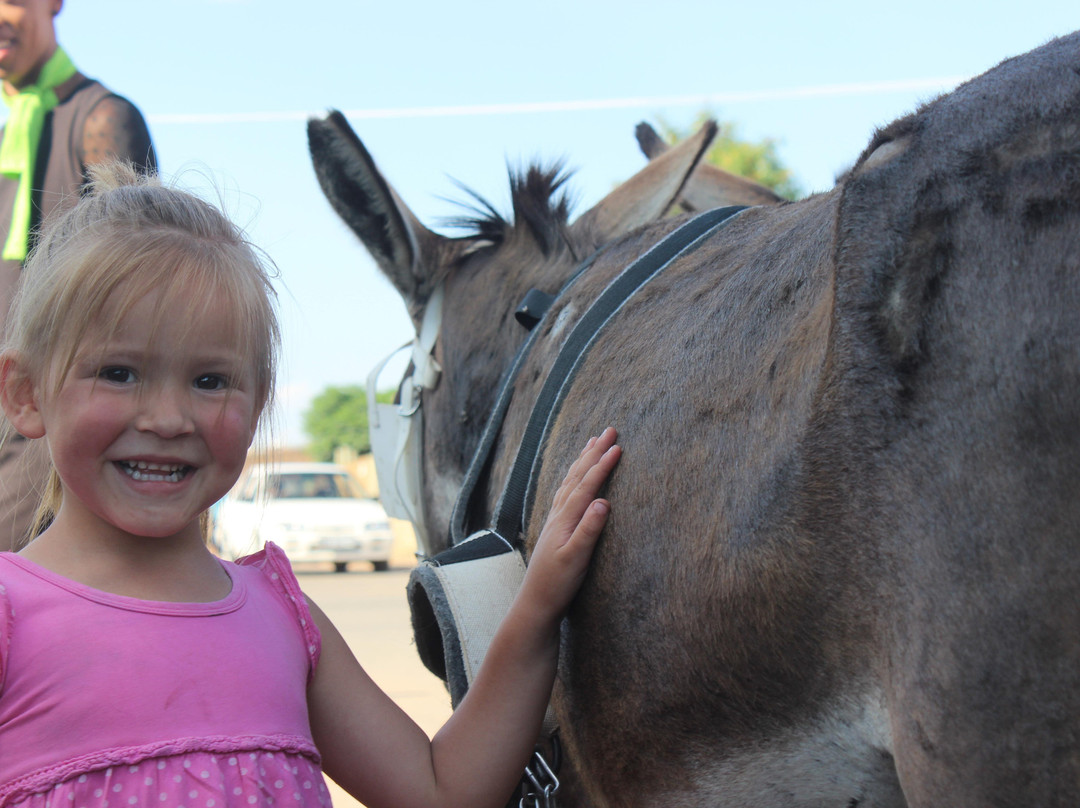 M Court Township Tours-贝拉贝拉必去景点