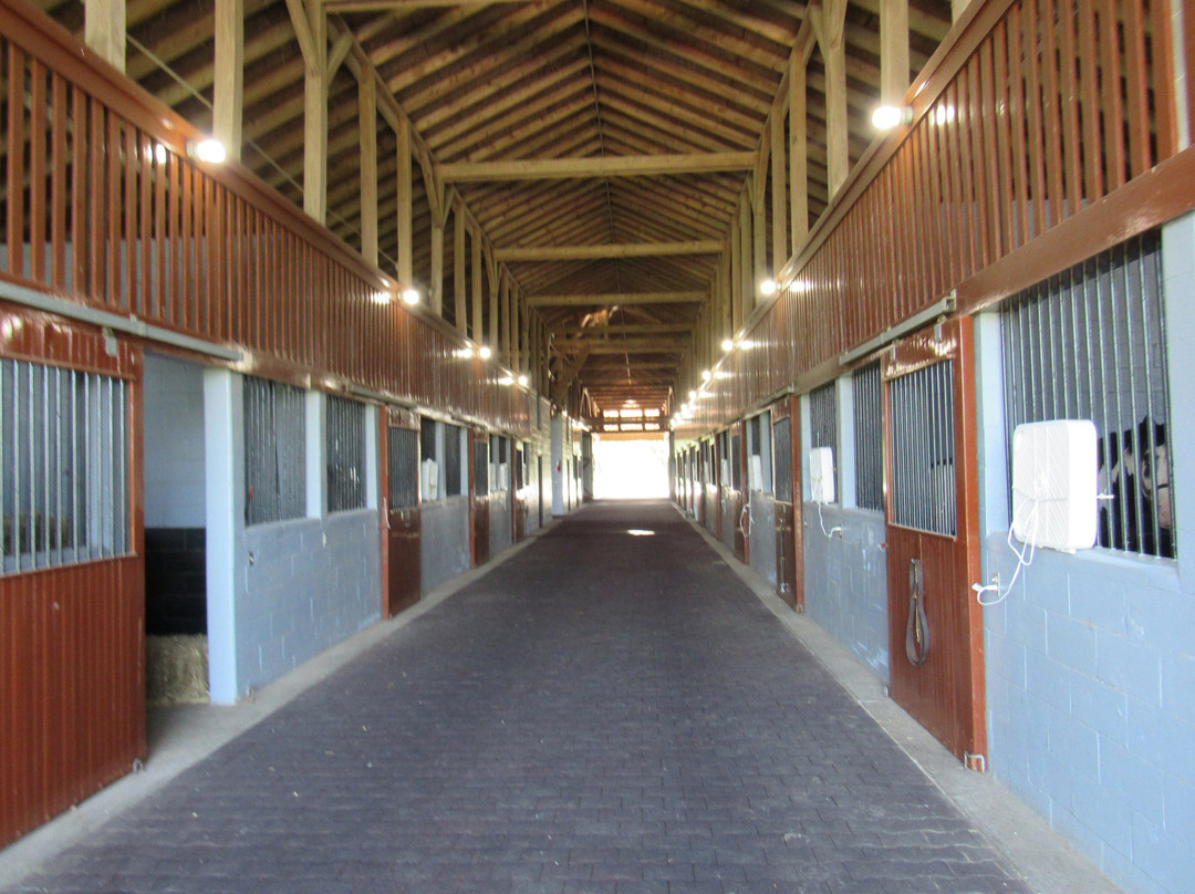 Airdrie Stud-Midway必去景点