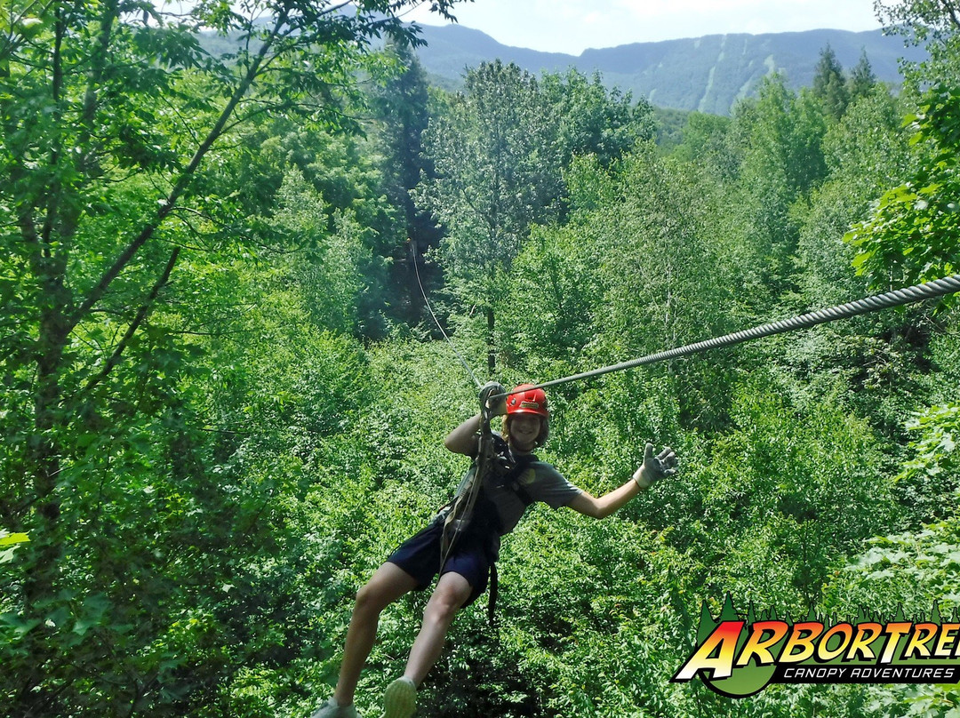 ArborTrek Canopy Adventures景点图片