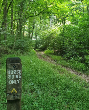 Edwin and Percy Warner Parks-纳什维尔必去景点