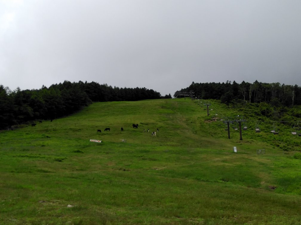 Yunomaru Ski Area景点图片
