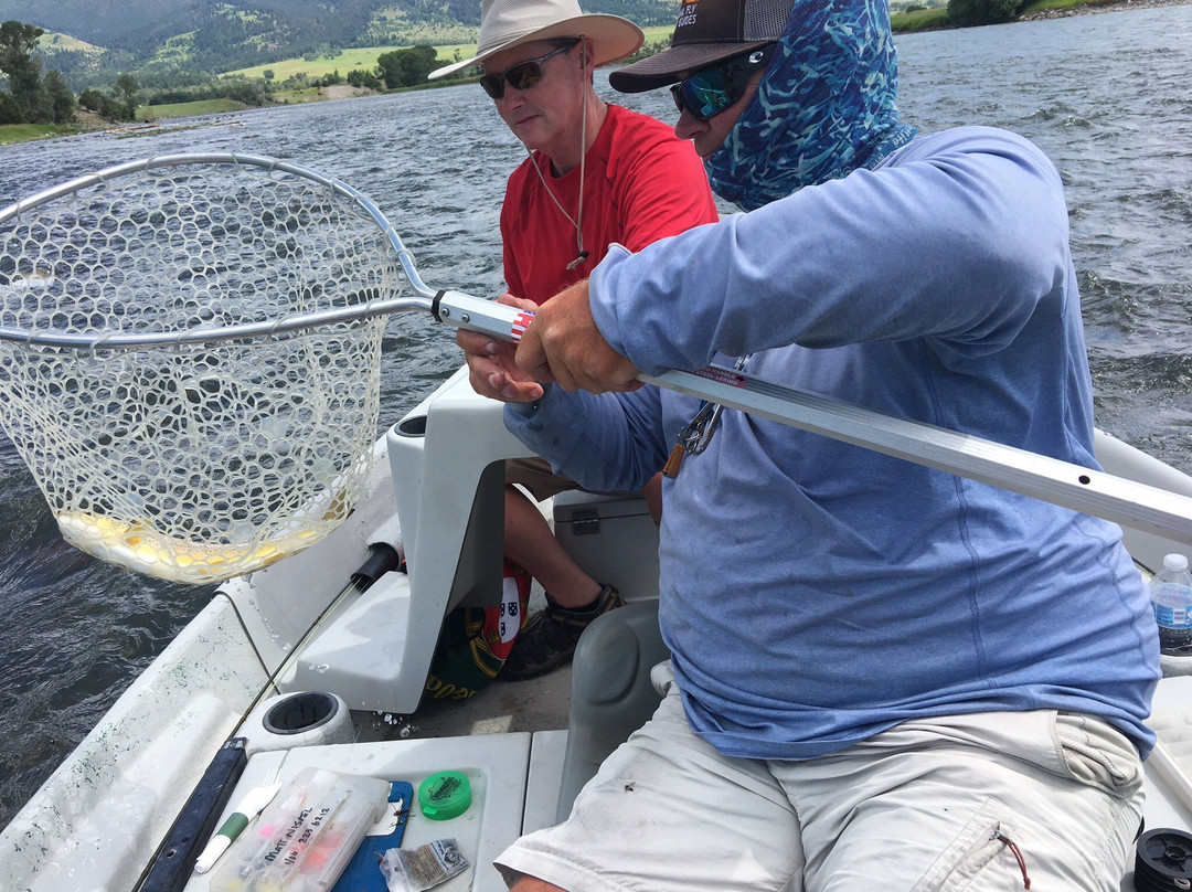 Montana Fly Fishing Guides - Day Tours景点图片