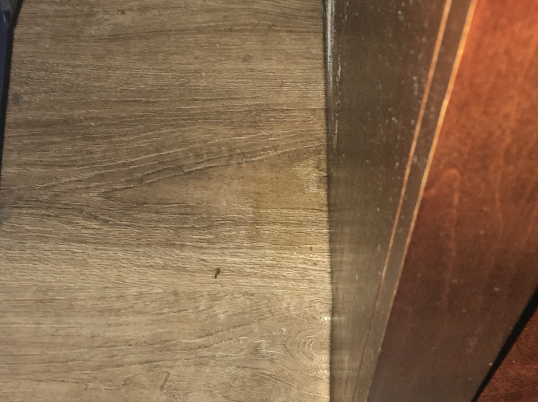 Days Inn by Wyndham Fultondale主图