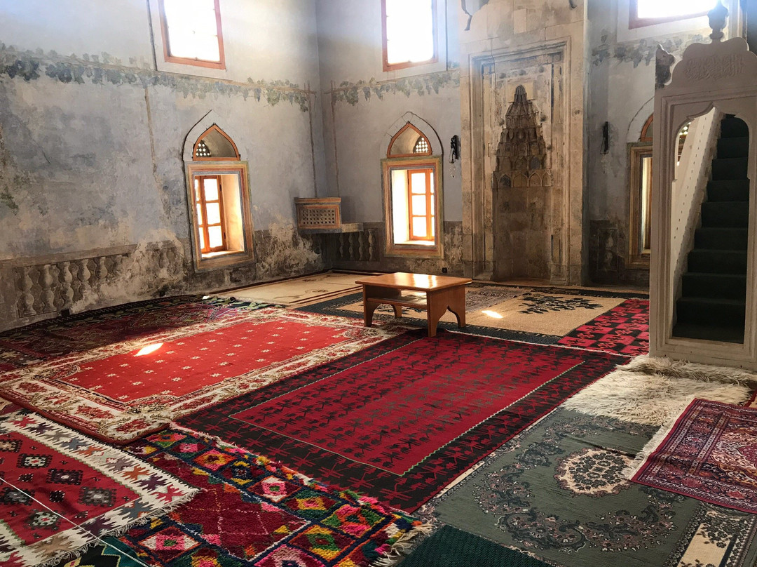Hadzi-Kurt Mosque (Tabacica)景点图片