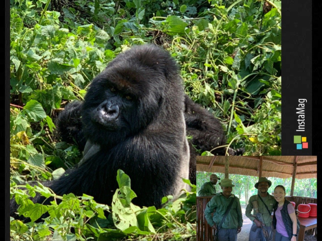 Kasitu Eco Tours-Goma必去景点