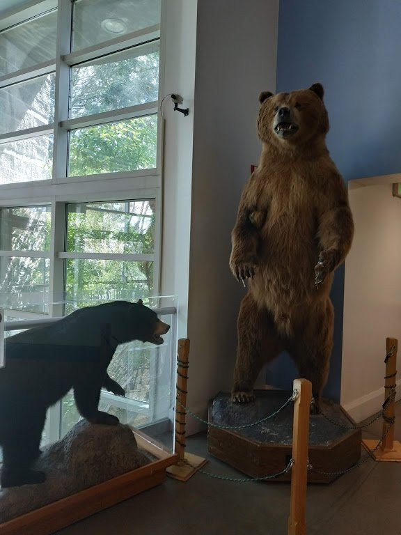 Lindsay Wildlife Museum-核桃溪必去景点