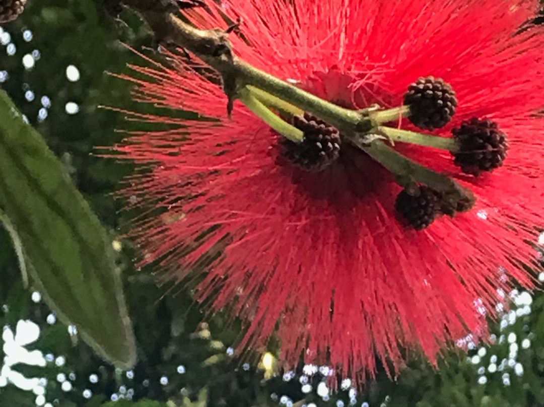 More Than A Drop Hotel主图