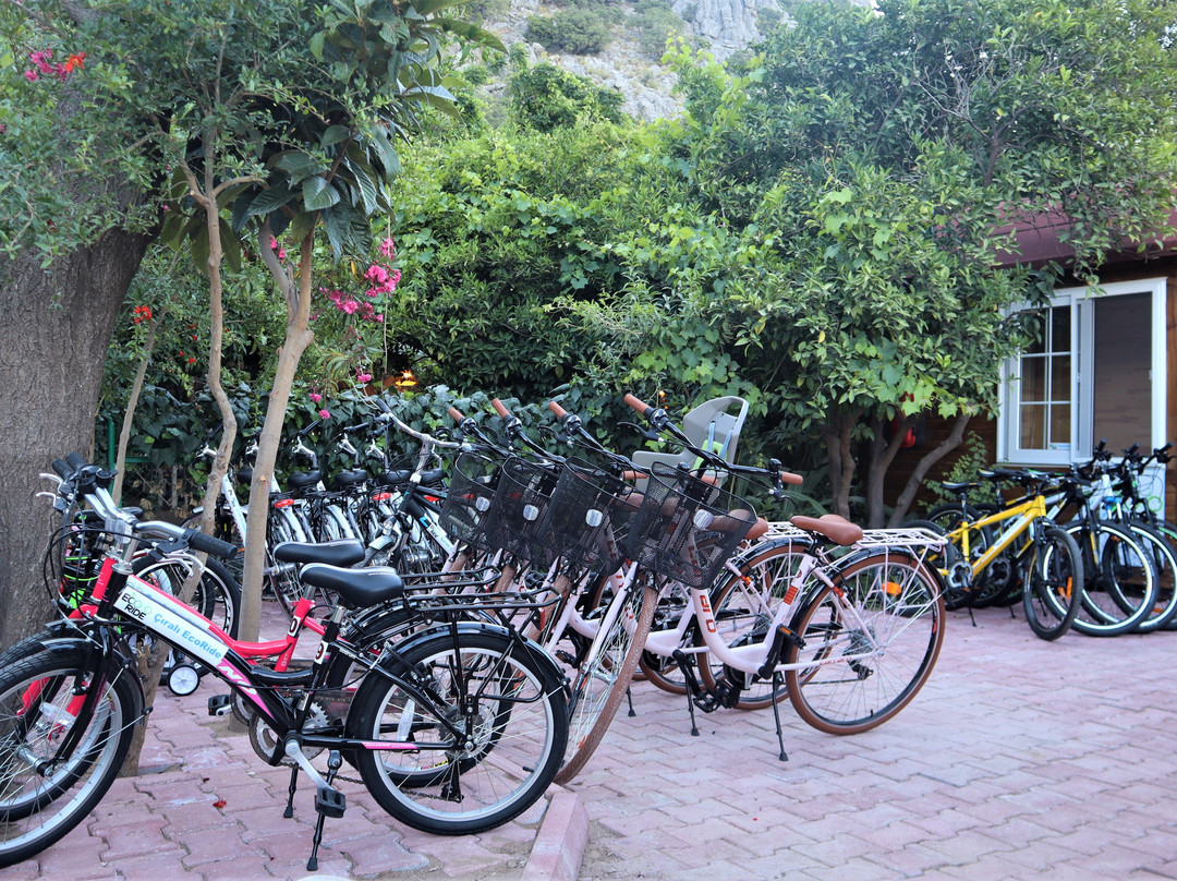 Cirali Eco Ride景点图片