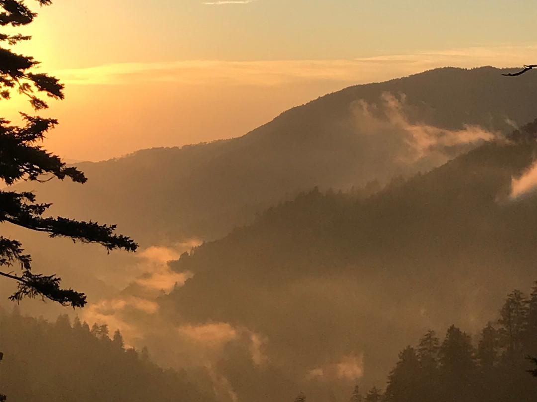 Newfound Gap Road-大雾山国家公园必去景点