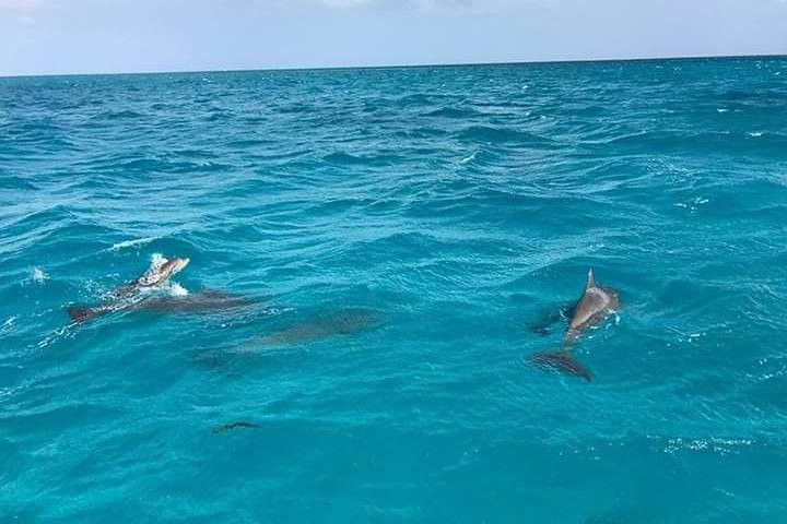 BETITAS ACUATIC SERVICE-Providencia必去景点