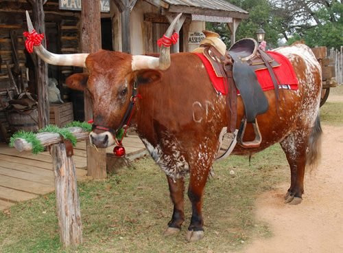 Old West Christmas Light Fest at Enchanted Springs Ranch-Boerne必去景点