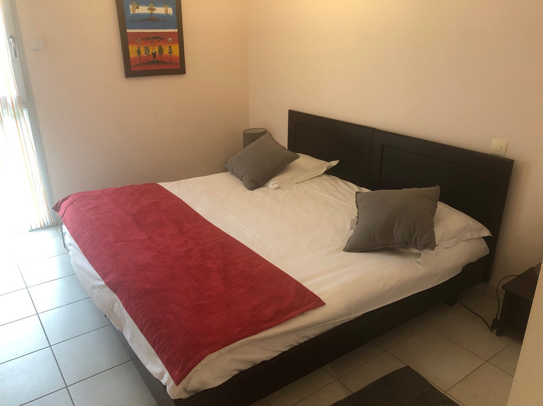 皮克派赫酒店主图