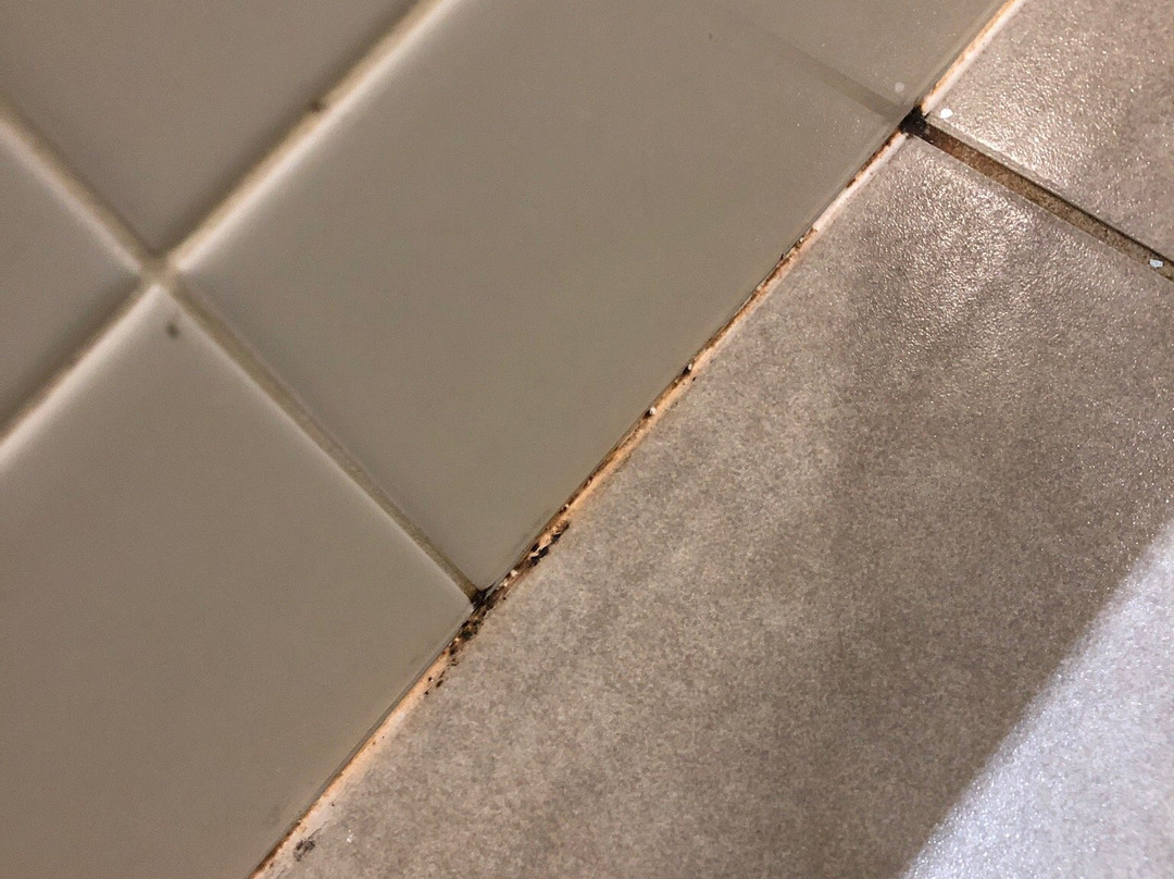 天堂棕榈树度假村主图