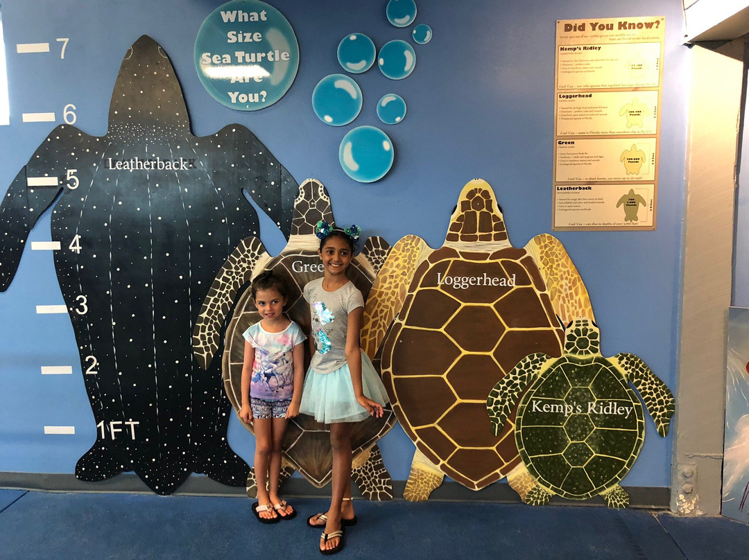 Navarre Beach Marine Sanctuary景点图片